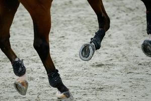 Blum wieder mit Alice im Parcours: "Mit Raketenantrieb"