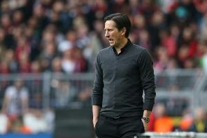 Schmidt über Götze-Verpflichtung: "Emotionale Komponente gab den Ausschlag"