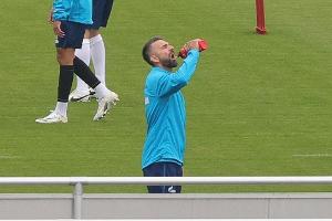 Ibisevic will sein Schalke-Gehalt spenden