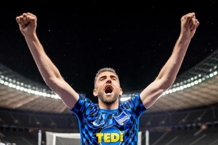 Ibisevic-Transfer zu Schalke 04 perfekt Ibisevic-Transfer zu Schalke 04 perfekt