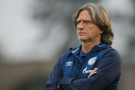 Schalke: U19-Trainer Elgert steht als Interimscoach nicht zur Verfügung Schalke: U19-Trainer Elgert steht als Interimscoach nicht zur Verfügung
