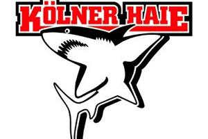 "Spüren große Erleichterung": Kölner Haie sagen Teilnahme an DEL-Saison zu