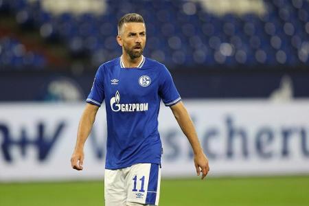 Schalke löst Vertrag mit Ibisevic - Harit und Bentaleb suspendiert Schalke löst Vertrag mit Ibisevic - Harit und Bentaleb suspendiert