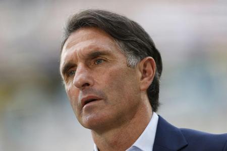 Hertha-Trainer Labbadia lobt Union vor Hauptstadt-Derby Hertha-Trainer Labbadia lobt Union vor Hauptstadt-Derby