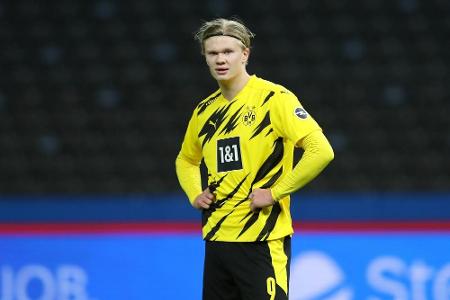 BVB-Coach Terzic: BVB-Coach Terzic: