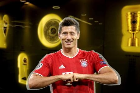 Star-Stürmer Robert Lewandowski vom FC Bayern München spielt das erfolgreichste Jahre seiner Karriere. 14 Titel und persönli... Star-Stürmer Robert Lewandowski vom FC Bayern München spielt das erfolgreichste Jahre seiner Karriere. 14 Titel und persönli...