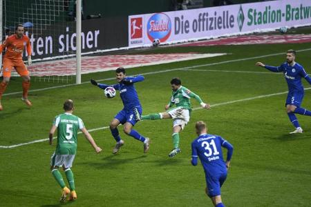 Schalke verschenkt Sieg bei Werder Schalke verschenkt Sieg bei Werder
