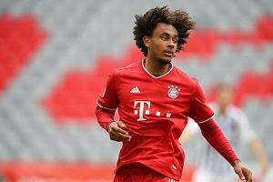 DFB sperrt Bayern-Youngster Zirkzee