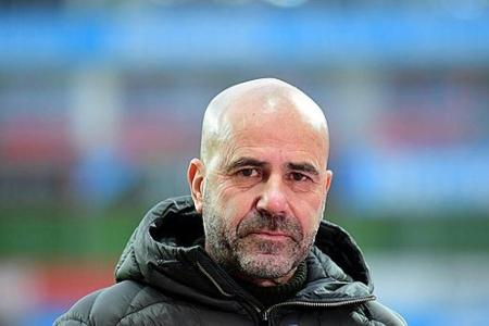 Bosz sieht Bayer Bosz sieht Bayer