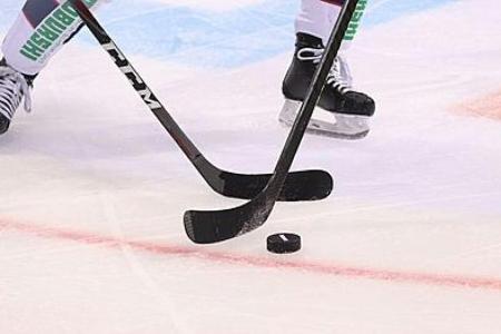 DEL: Straubing holt früheren NHL-Stürmer Tropp DEL: Straubing holt früheren NHL-Stürmer Tropp