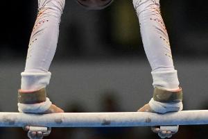Turnskandal: Frehse schreibt Brief an Ethik-Beauftragte