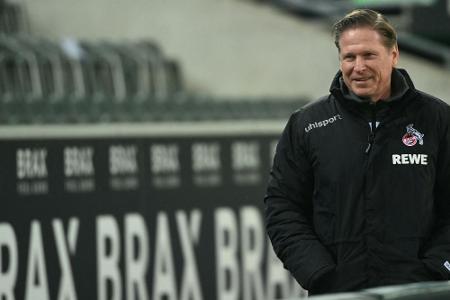 Kölns Gisdol schwärmt von Kölns Gisdol schwärmt von