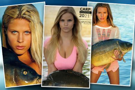 Carponizer-Collage-Clean.jpg Carponizer-Collage-Clean.jpg