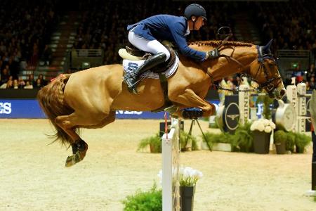 Springreiten: Thieme siegt bei Eine-Million-Dollar-Springen in Florida Springreiten: Thieme siegt bei Eine-Million-Dollar-Springen in Florida