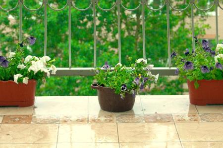 ThinkstockPhotos-809910170.jpg