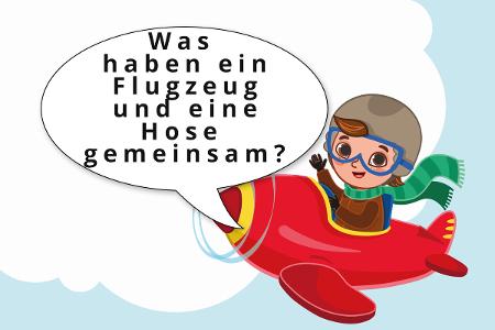 Fliegen-Collage.jpg