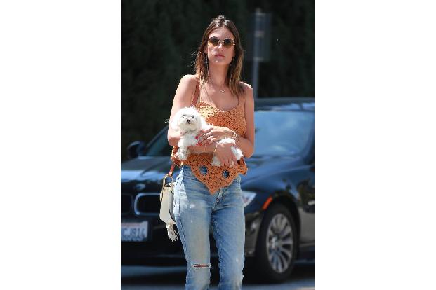 Mensch, da weiß man gar nicht, wer der schönere Anblick ist: Alessandra Ambrosio oder ihr fluffiger Vierbeiner! Tatsächlich ...