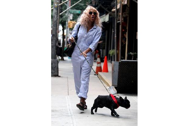 ...anschaut, welchen Kampf die amerikanische Rapperin Eve so mit ihrer kleinen French Bulldog Hendrix auszutragen hat? Brav ...
