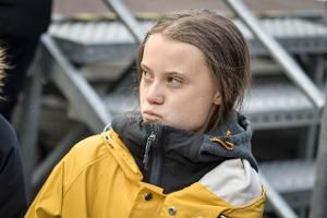 Greta Thunberg erntet Kritik von deutscher Prominenz