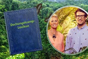 Zum Mitreden: Das große Dschungelcamp-Lexikon von A – Z