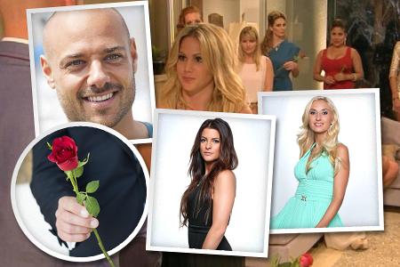 Der Bachelor Der Bachelor