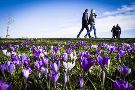 Körper und Geist: 7 Tipps für einen guten Start in den Frühling Körper und Geist: 7 Tipps für einen guten Start in den Frühling