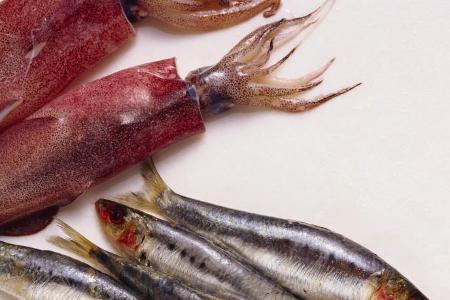 Fisch