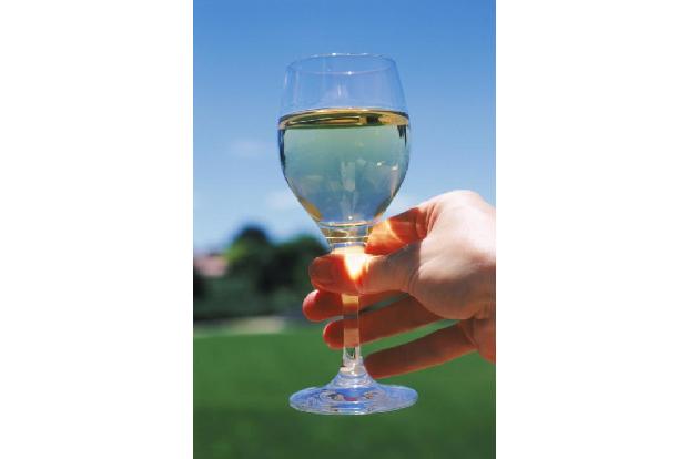 Wein