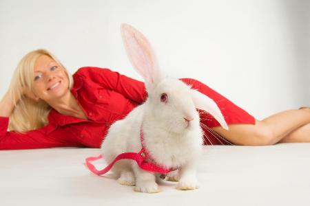 ThinkstockPhotos-93938292.jpg ThinkstockPhotos-93938292.jpg