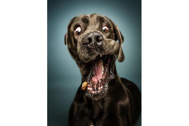 Collection_Vieler-Photography.com (1).jpg