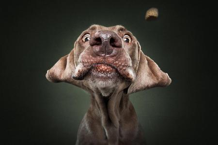 Collection_Vieler-Photography.com (18).jpg