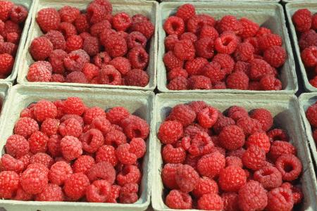Krebs, Ernährung, Beeren