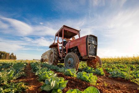 Due to the prolonged drought, farmers are watering their pla... Due to the prolonged drought, farmers are watering their pla...