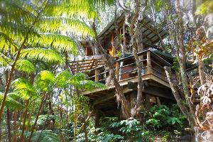 Urlaub im Baumhaus: Die schönsten Baumhäuser der Welt!