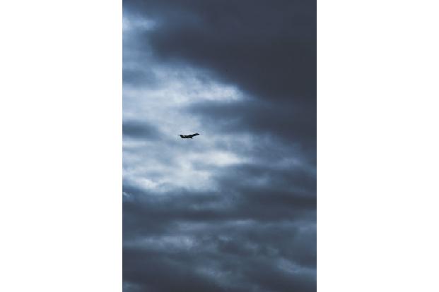 Flugzeug, Flieger, Pilot, Stewardess