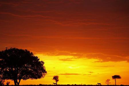 schönste Sonnenuntergänge schönste Sonnenuntergänge