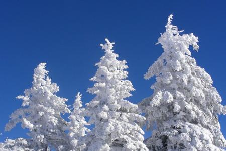 Skiurlaub: Die Wintersportsaison ist eröffnet!