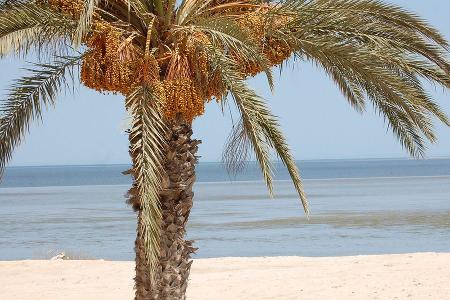 Traumstrände im September djerba