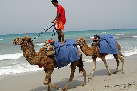 Traumstrände im September djerba