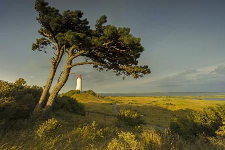 Rügen, Bornholm, Gotland: die Sonnen-Inseln der Ostsee Rügen, Bornholm, Gotland: die Sonnen-Inseln der Ostsee