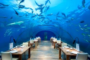 Die 10 ungewöhnlichsten Restaurants der Welt