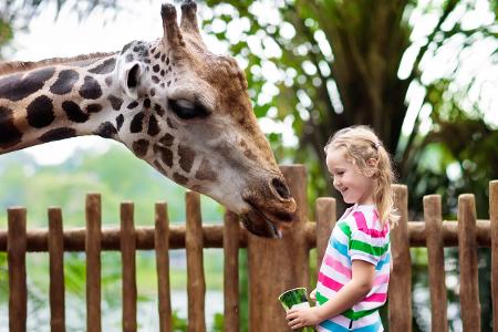 Tierpark Getty Images.jpg Tierpark Getty Images.jpg