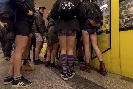 no pants_snapshot.jpg
