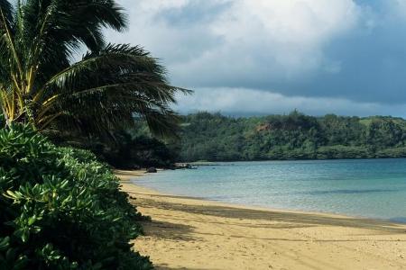 Ein Strand ohne Sand