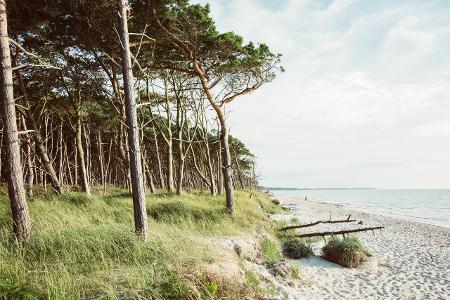 Deutsche Ostsee: So schön sind die Strände Deutsche Ostsee: So schön sind die Strände