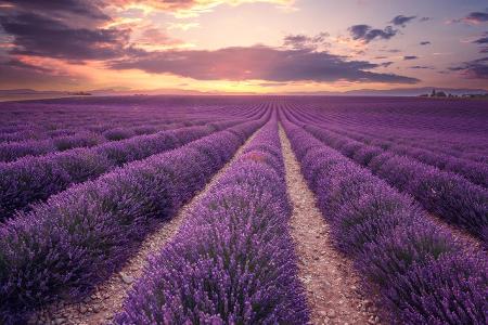Die Provence in Frankreich