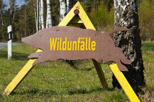 Unfall  Wild
