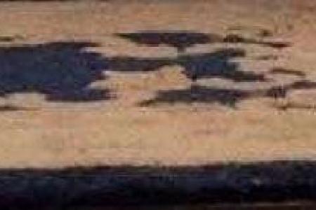 carpet.jpg