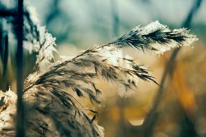 Die Top 9 Wintertrends 2016: So schön wird der Winter