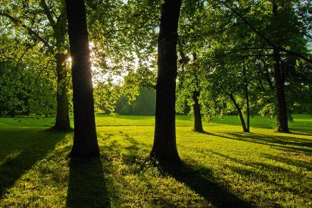 Georgengarten Hannover imago images Henning Scheffen.jpg Georgengarten Hannover imago images Henning Scheffen.jpg